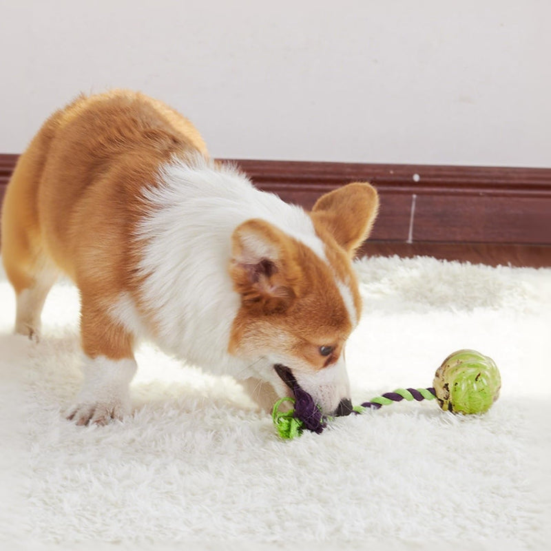 KFX-1975485 Interactive Eco-Friendly Cotton Rope Ball Dog Toy for Small and Medium Breeds