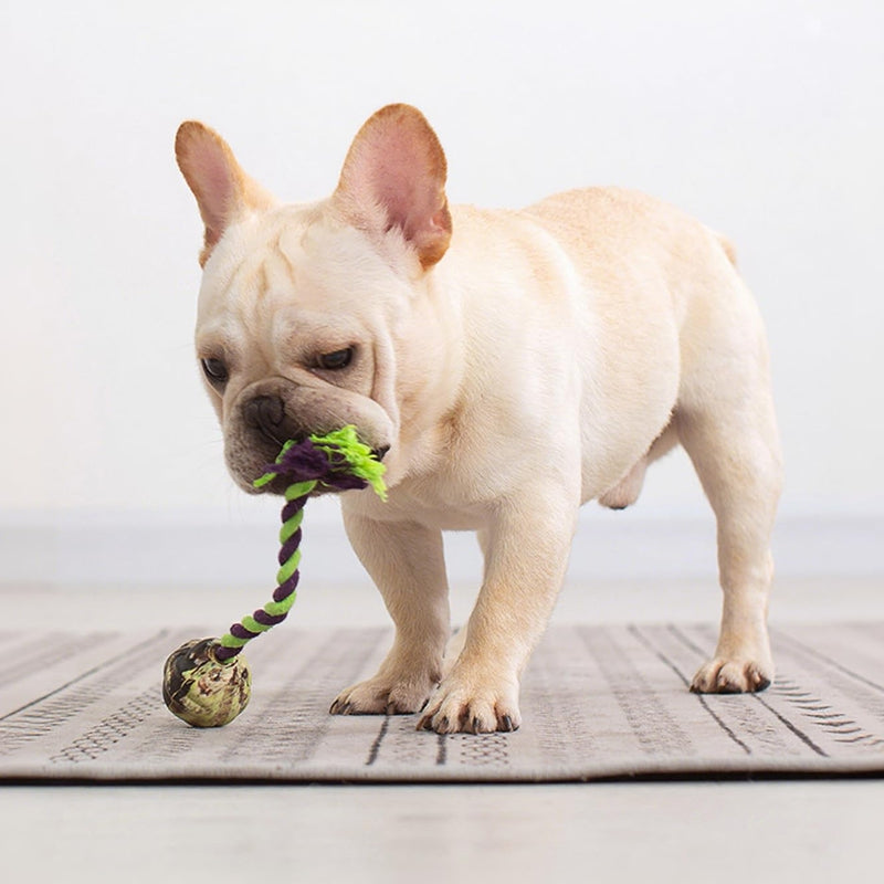 KFX-1975485 Interactive Eco-Friendly Cotton Rope Ball Dog Toy for Small and Medium Breeds