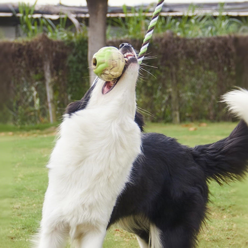 KFX-1975485 Interactive Eco-Friendly Cotton Rope Ball Dog Toy for Small and Medium Breeds