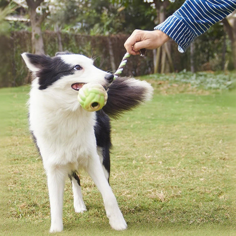 KFX-1975485 Interactive Eco-Friendly Cotton Rope Ball Dog Toy for Small and Medium Breeds
