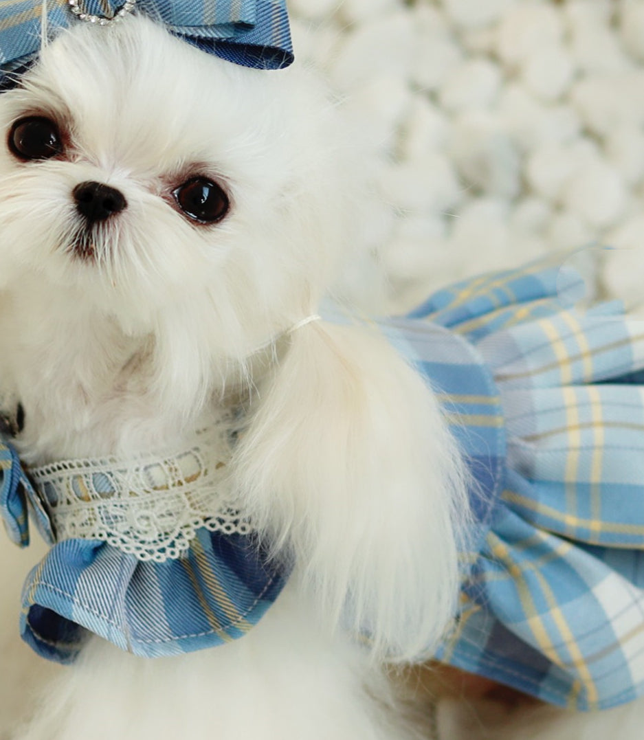 KFX-1976125 Cute Blue Plaid Suspender Skirt for Pets - College Style Dress in Light and Dark Blue Options
