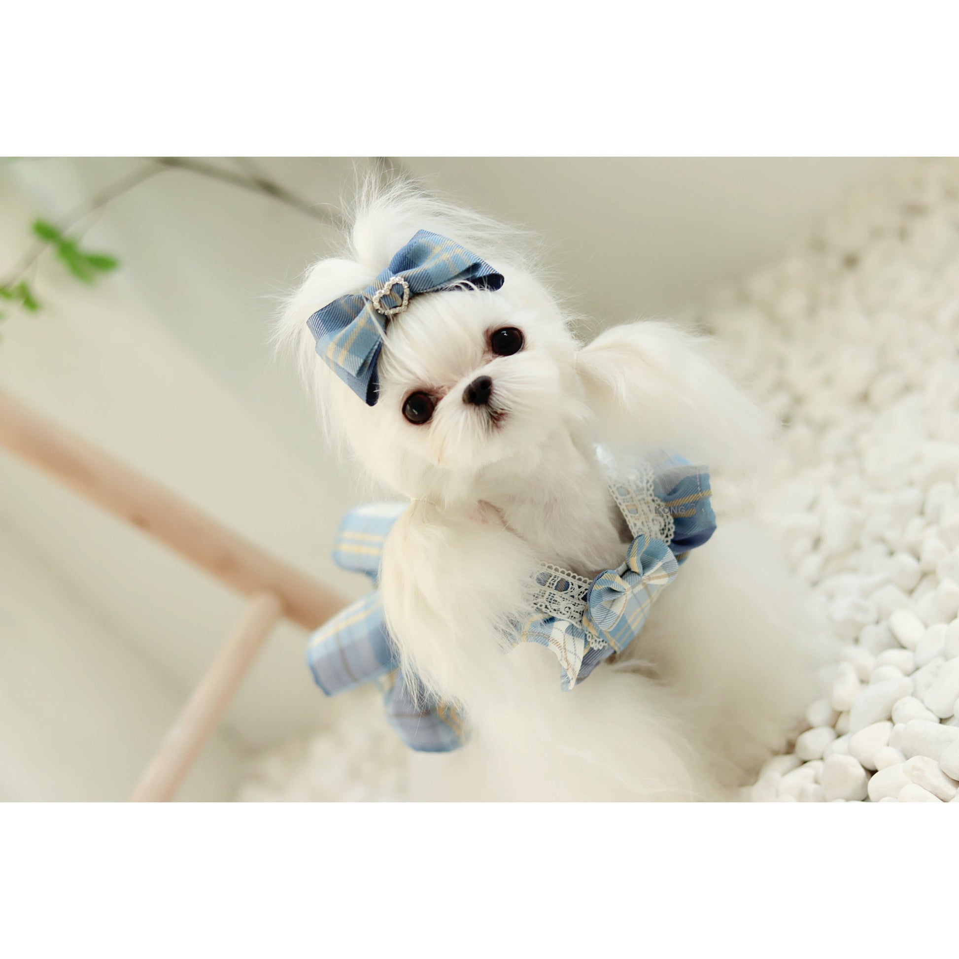 KFX-1976125 Cute Blue Plaid Suspender Skirt for Pets - College Style Dress in Light and Dark Blue Options