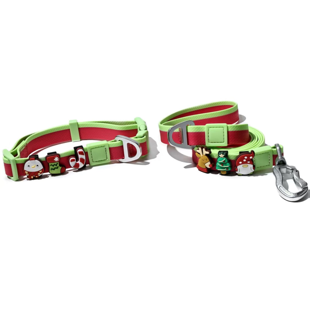 KFX-1976637 Dual-Color Embossed Dog Leash Set with 12 Customizable Accessories