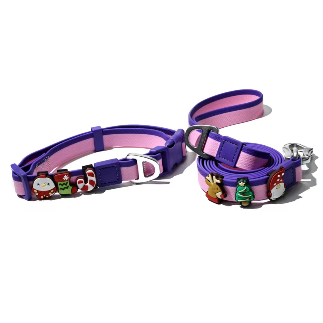 KFX-1976637 Dual-Color Embossed Dog Leash Set with 12 Customizable Accessories