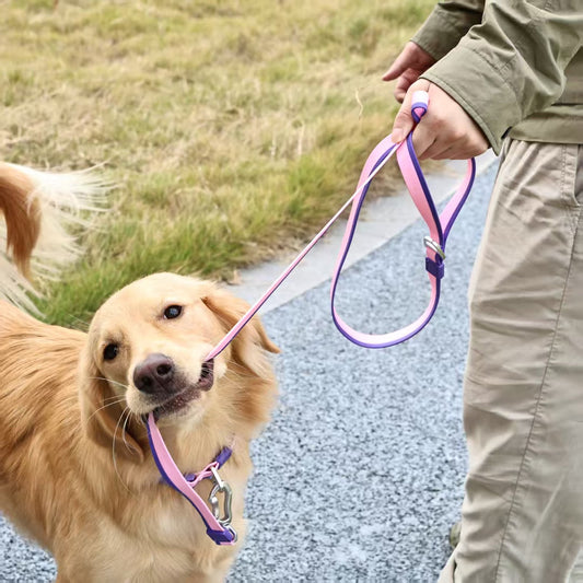 KFX-1976637 Dual-Color Embossed Dog Leash Set with 12 Customizable Accessories