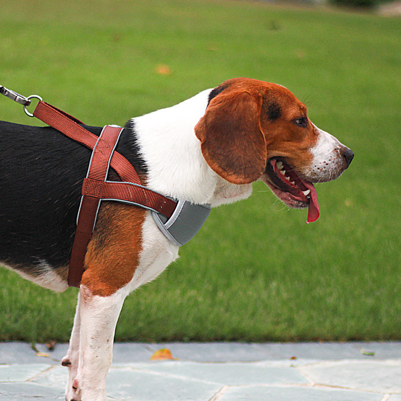 KFX-1987645 Adjustable Nylon Dog Leash Vest Chest Strap in Red, Blue, and Brown