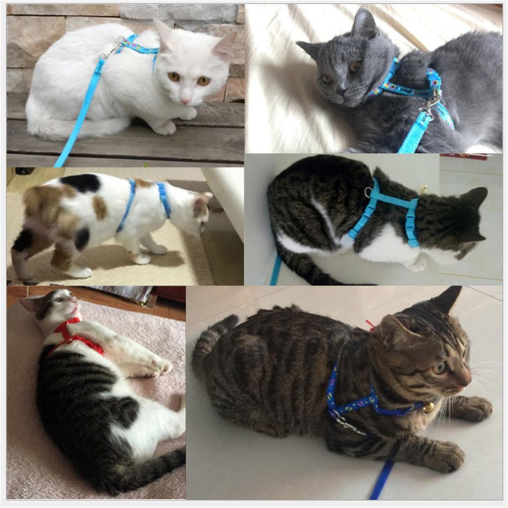 KFX-1993917 Adjustable Nylon Cat Vest Towing Rope with Chest Strap - Available in Various Colors