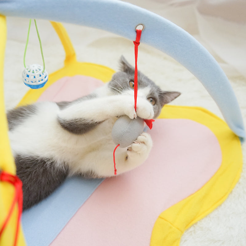 KFX-1998909 Funny Fleece Cat Stick Toy - Casual Yellow and Black Design for Playful Kitties