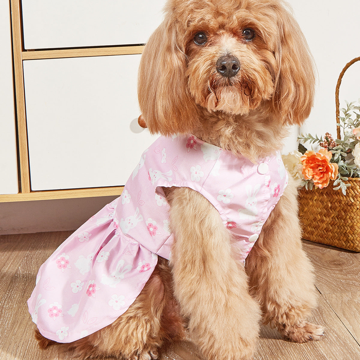 KFX-2000445 Breathable Pet Dog Princess Skirt with Cute Prints in Various Styles and Sizes