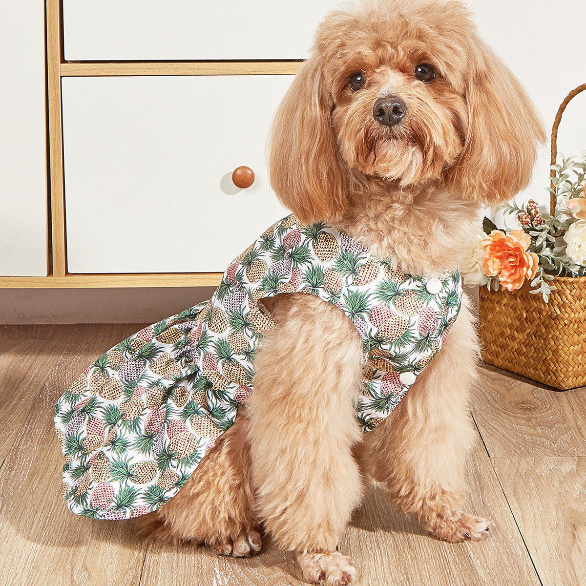 KFX-2000445 Breathable Pet Dog Princess Skirt with Cute Prints in Various Styles and Sizes