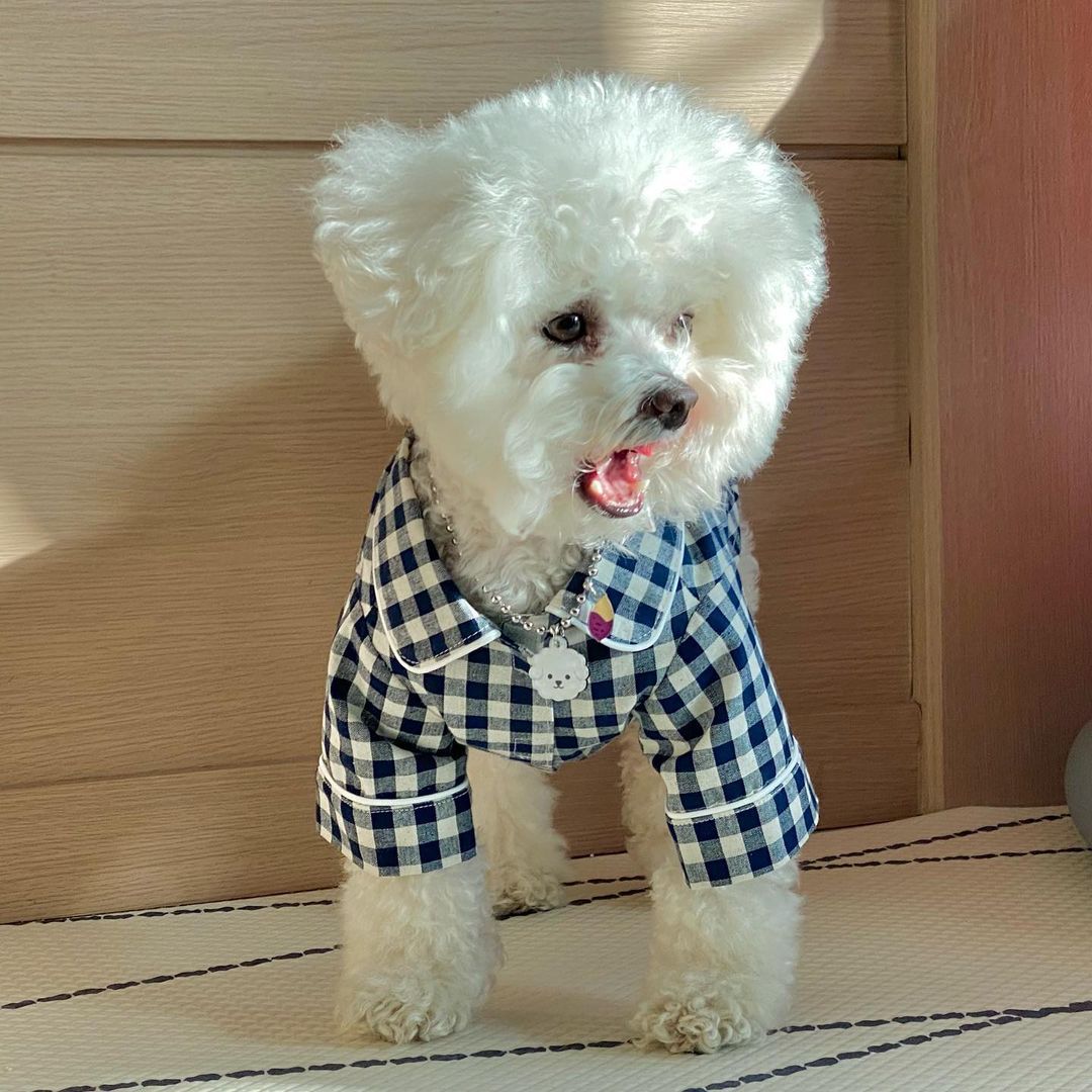 KFX-2000701 Khaki and Navy Blue Check Cotton Pajamas for Dogs with Pockets