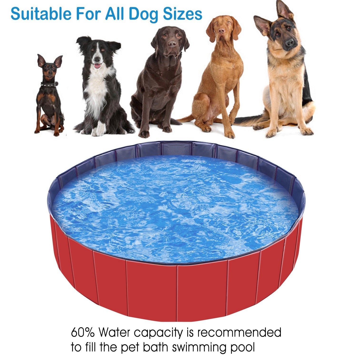 KFX-2001725 Foldable Pet Swimming Pool 160 x 160 x 30 cm Portable PVC Bathing Tub for Dogs and Cats