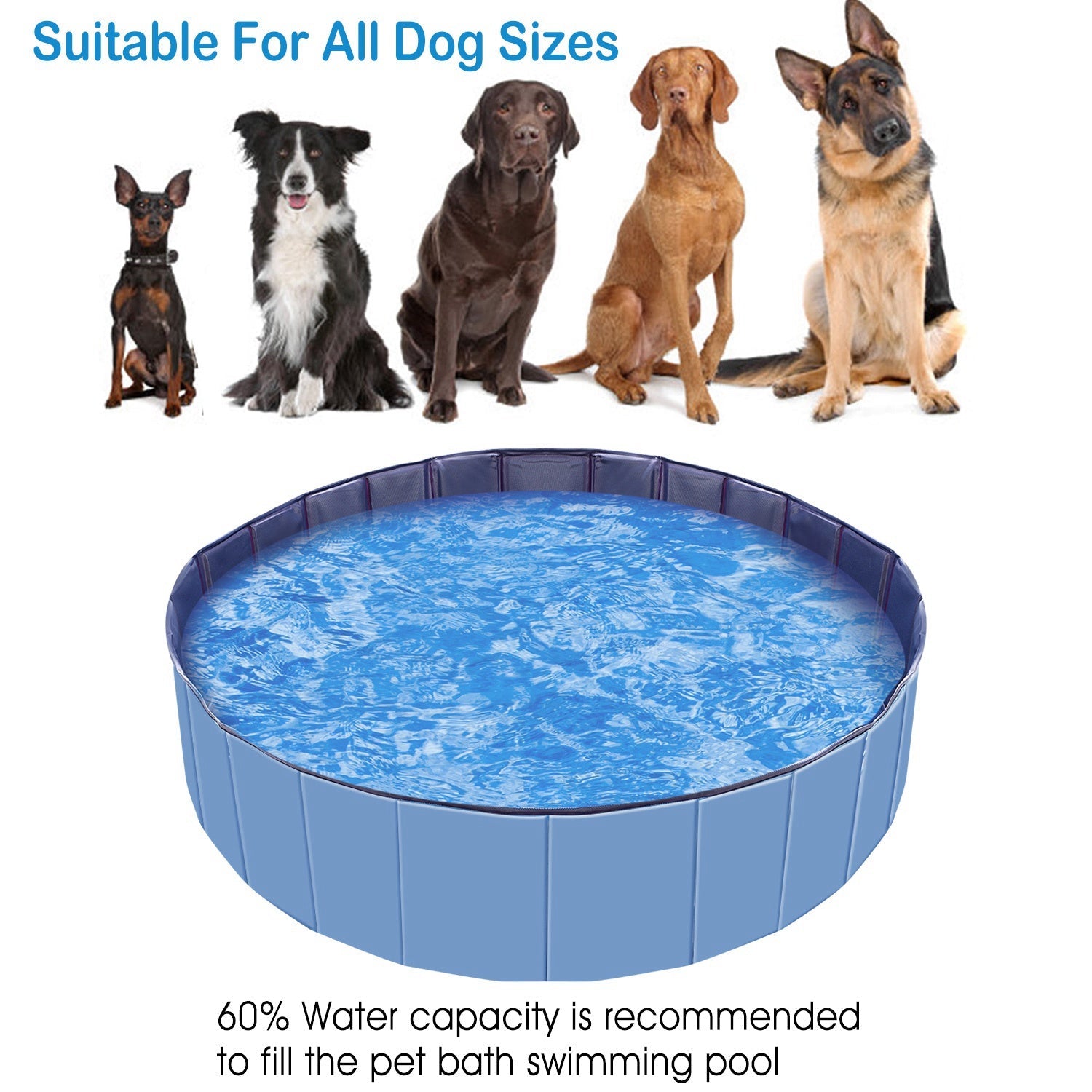 KFX-2001725 Foldable Pet Swimming Pool 160 x 160 x 30 cm Portable PVC Bathing Tub for Dogs and Cats
