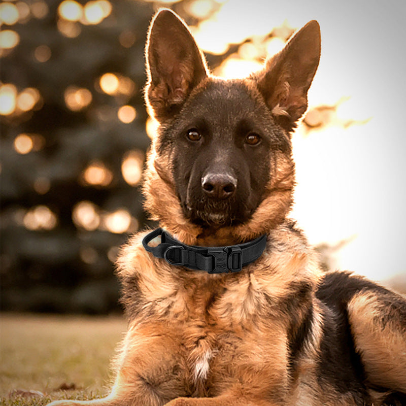 KFX-2001853 Medium and Large Nylon Dog Collar in Black, Green, and Khaki with Leash Included