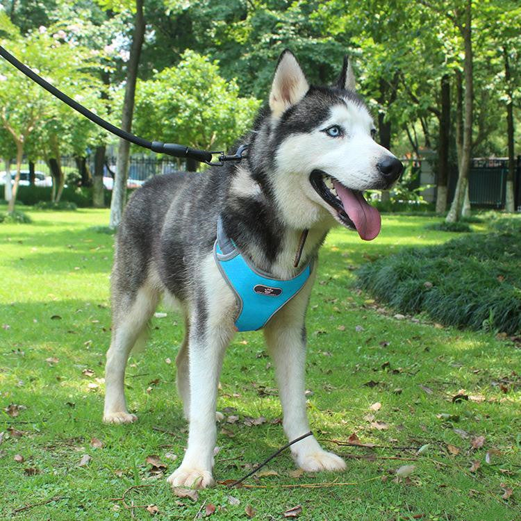 KFX-2008893 T-Shaped Explosion-Proof Chest Vest for Medium and Large Dogs – Breathable Oxford Cloth & Neoprene Design