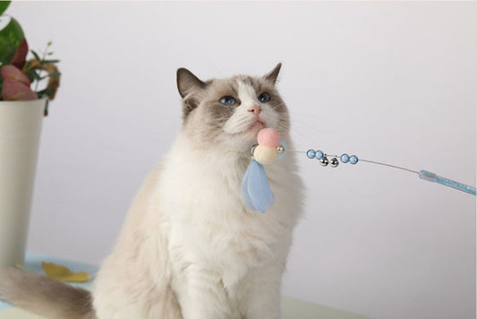 KFX-2010429 Colorful Flexible Cat Teaser Stick Set – Environmentally Friendly, Bite-Resistant Toys for Cats (Pack of 3)