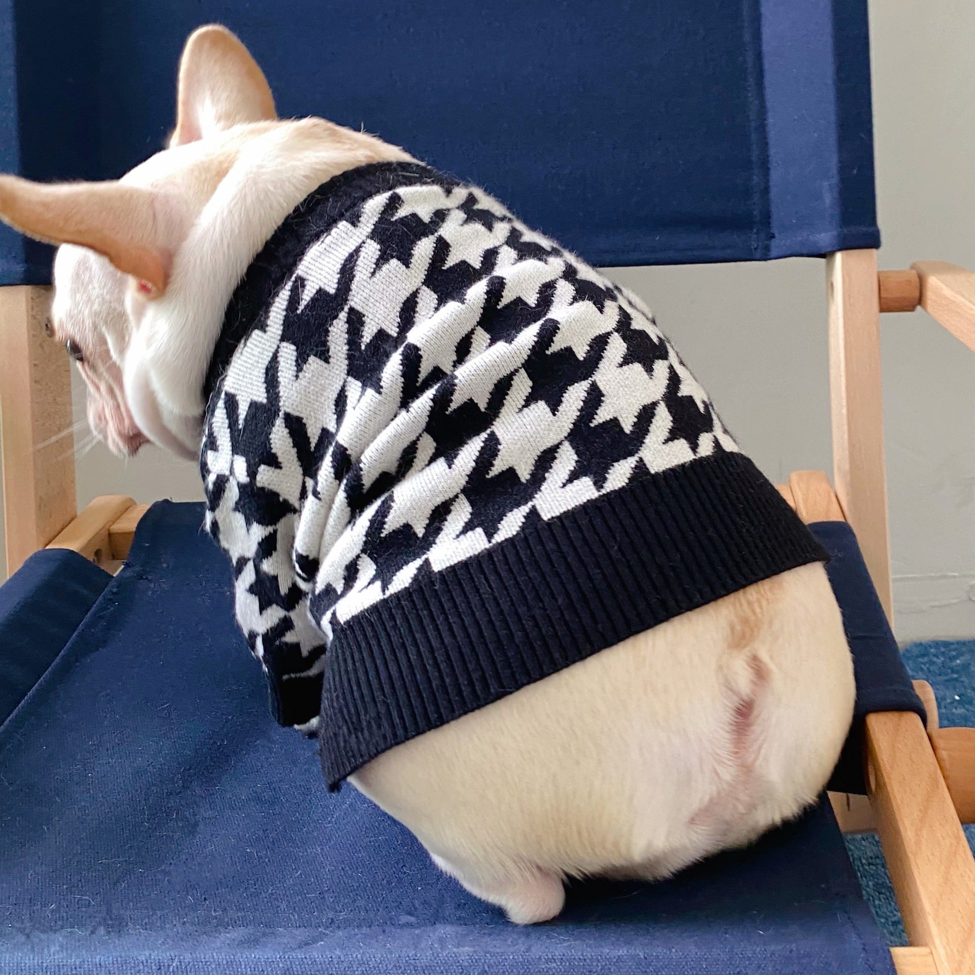 KFX-2013373 Cozy Wool Sweater for Dogs and Cats - Perfect for Fall and Winter Wear