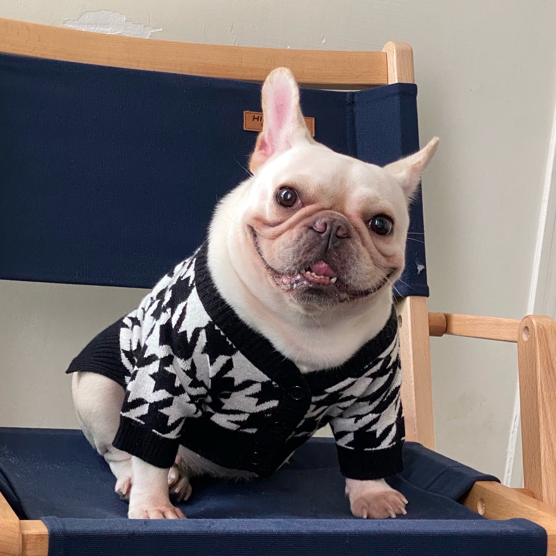 KFX-2013373 Cozy Wool Sweater for Dogs and Cats - Perfect for Fall and Winter Wear