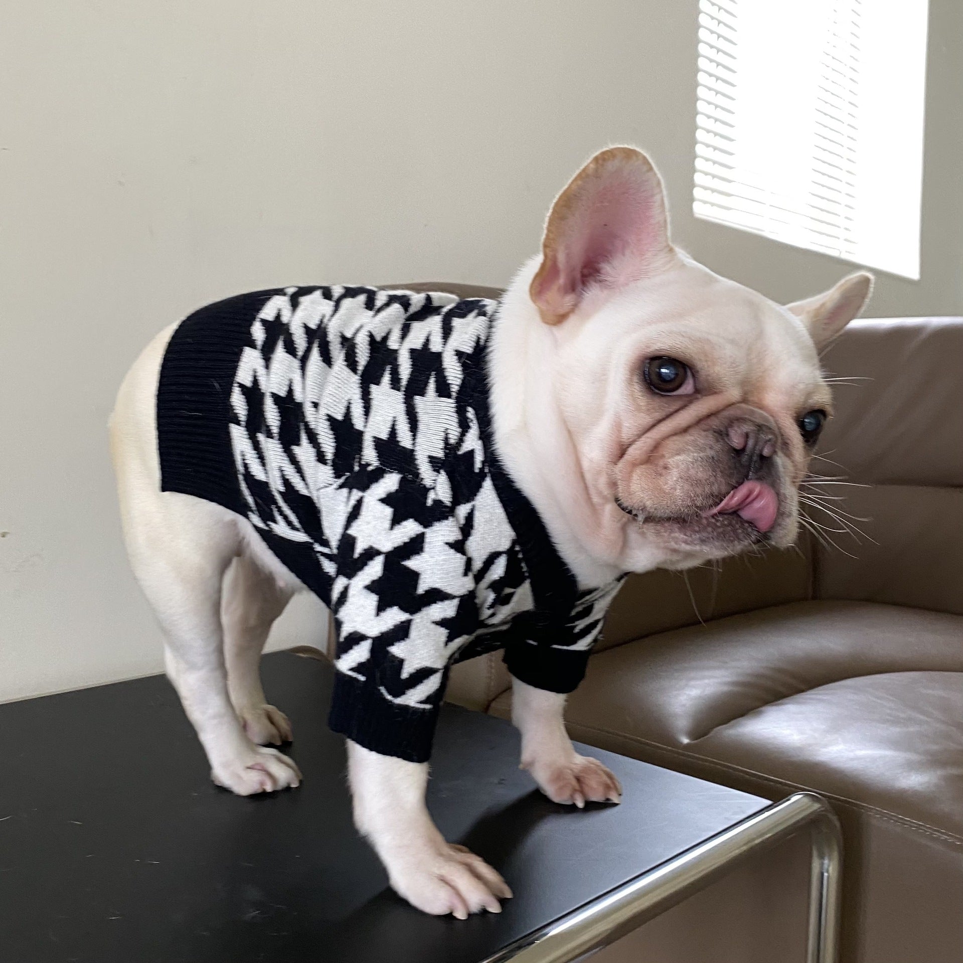 KFX-2013373 Cozy Wool Sweater for Dogs and Cats - Perfect for Fall and Winter Wear