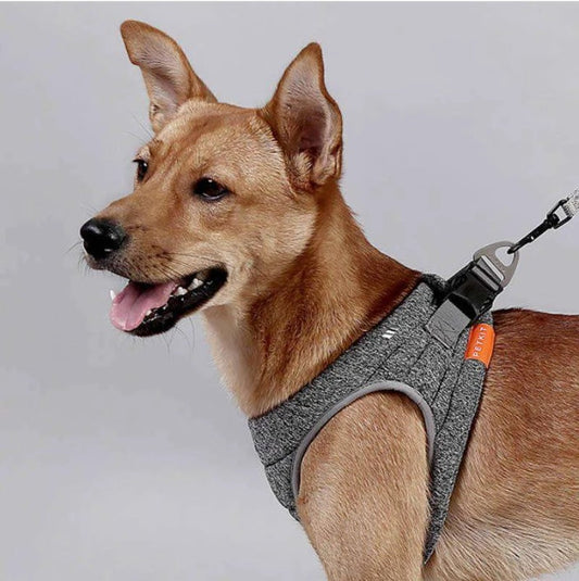 KFX-2014653 Adjustable Dog Rope Collar in Hemp Gray - Easy Attach Carabiner, Available in XS, S, M