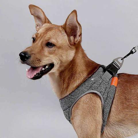 KFX-2014653 Adjustable Dog Rope Collar in Hemp Gray - Easy Attach Carabiner, Available in XS, S, M
