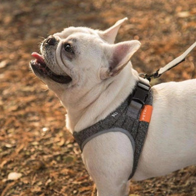 KFX-2014653 Adjustable Dog Rope Collar in Hemp Gray - Easy Attach Carabiner, Available in XS, S, M