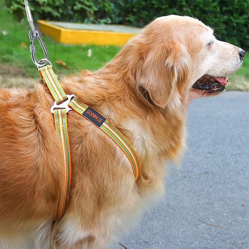 KFX-2015165 Durable Stainless Steel Wire Rope Dog Leash - Available in Multiple Lengths