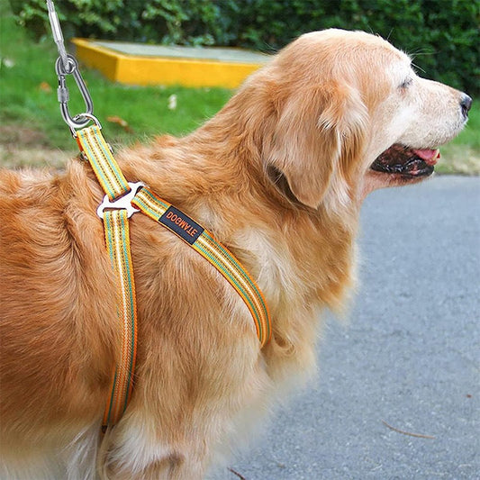 KFX-2015165 Durable Stainless Steel Wire Rope Dog Leash - Available in Multiple Lengths