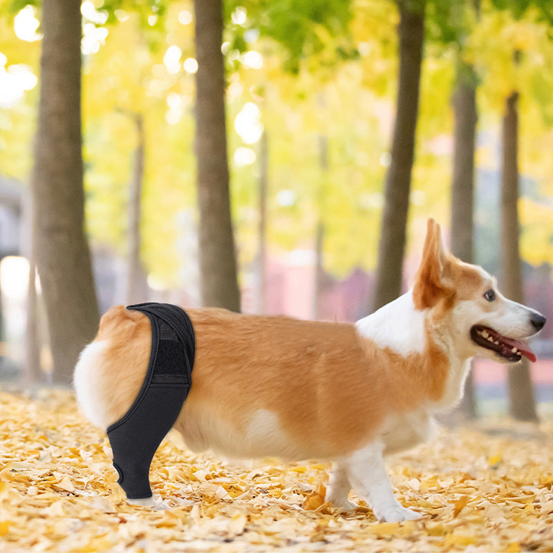 KFX-2017981 Adjustable Dog Knee Pads for Joint Recovery and Post-Surgery Support, Thigh Brace Wrap for Injury Protection