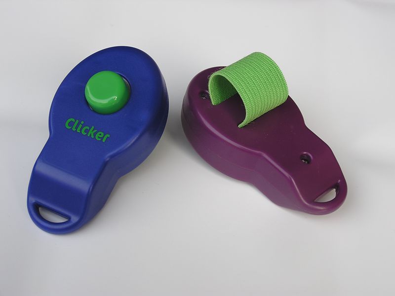 KFX-2021949 Pet Training Rattle Stick - Purple and Blue Options