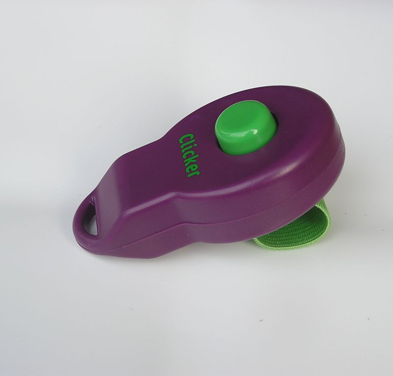 KFX-2021949 Pet Training Rattle Stick - Purple and Blue Options