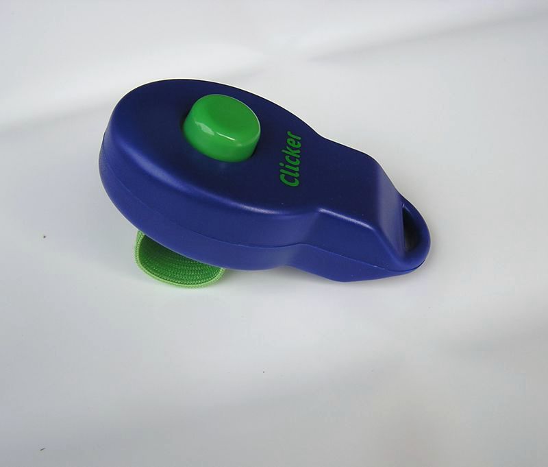 KFX-2021949 Pet Training Rattle Stick - Purple and Blue Options