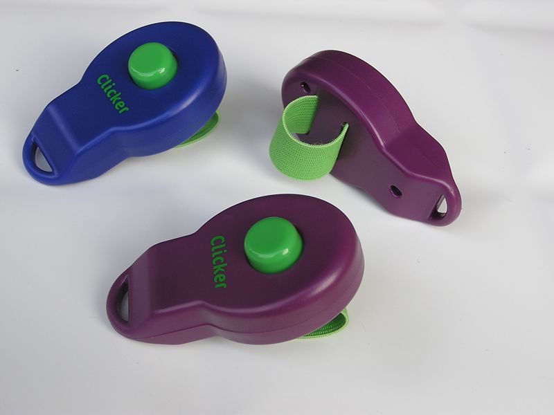 KFX-2021949 Pet Training Rattle Stick - Purple and Blue Options