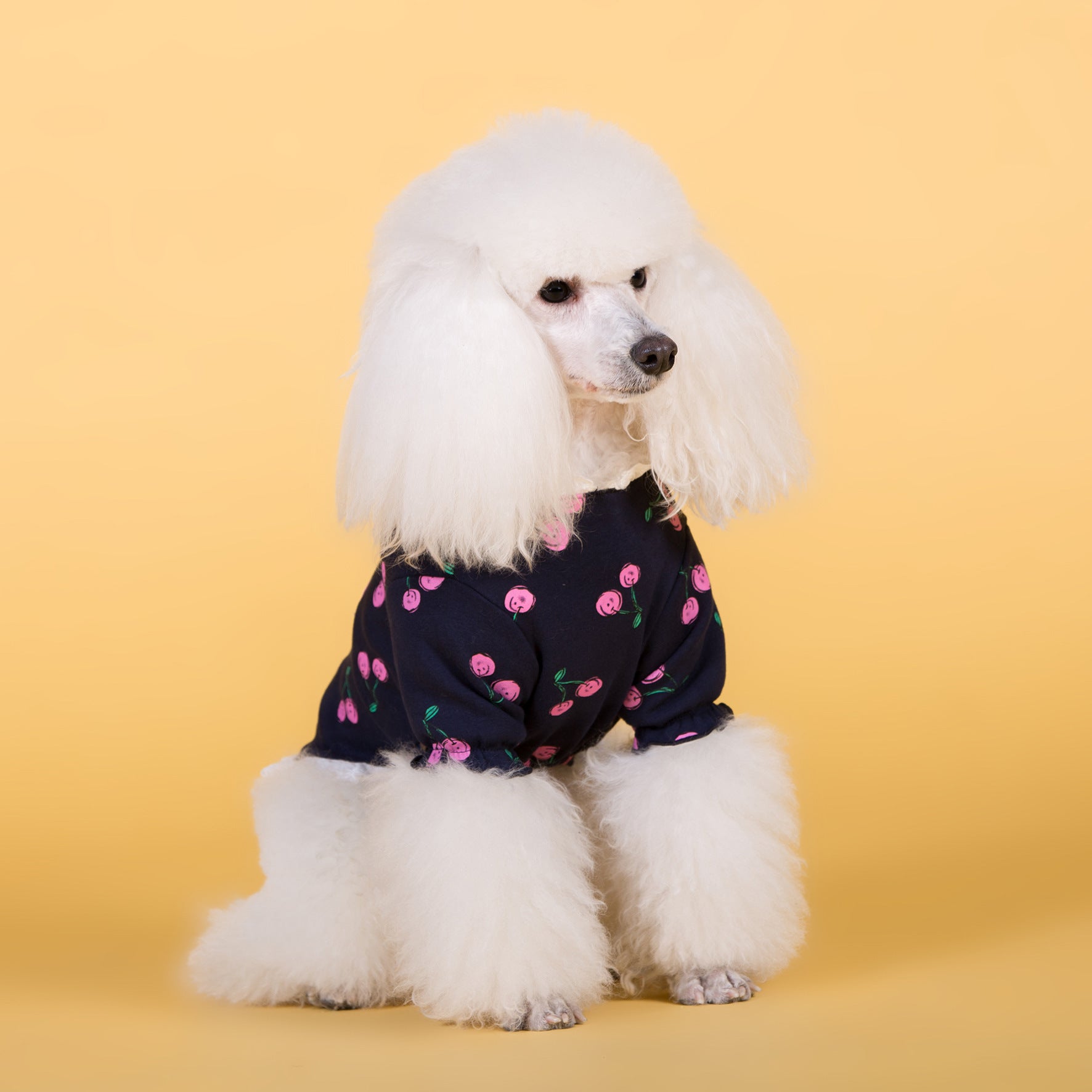 KFX-2027453 Cotton Stretch T-Shirt for Dogs in Casual Style – Available in Blue and White