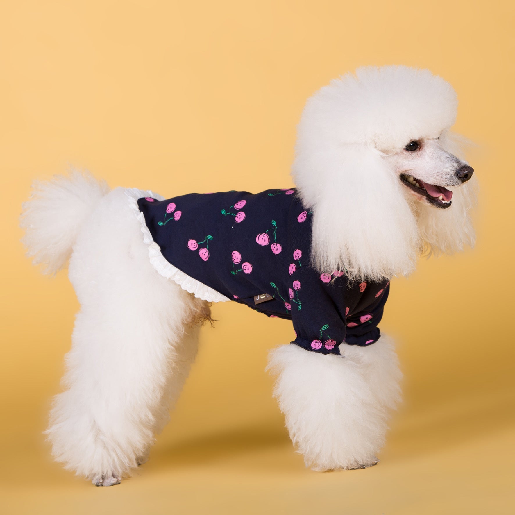 KFX-2027453 Cotton Stretch T-Shirt for Dogs in Casual Style – Available in Blue and White