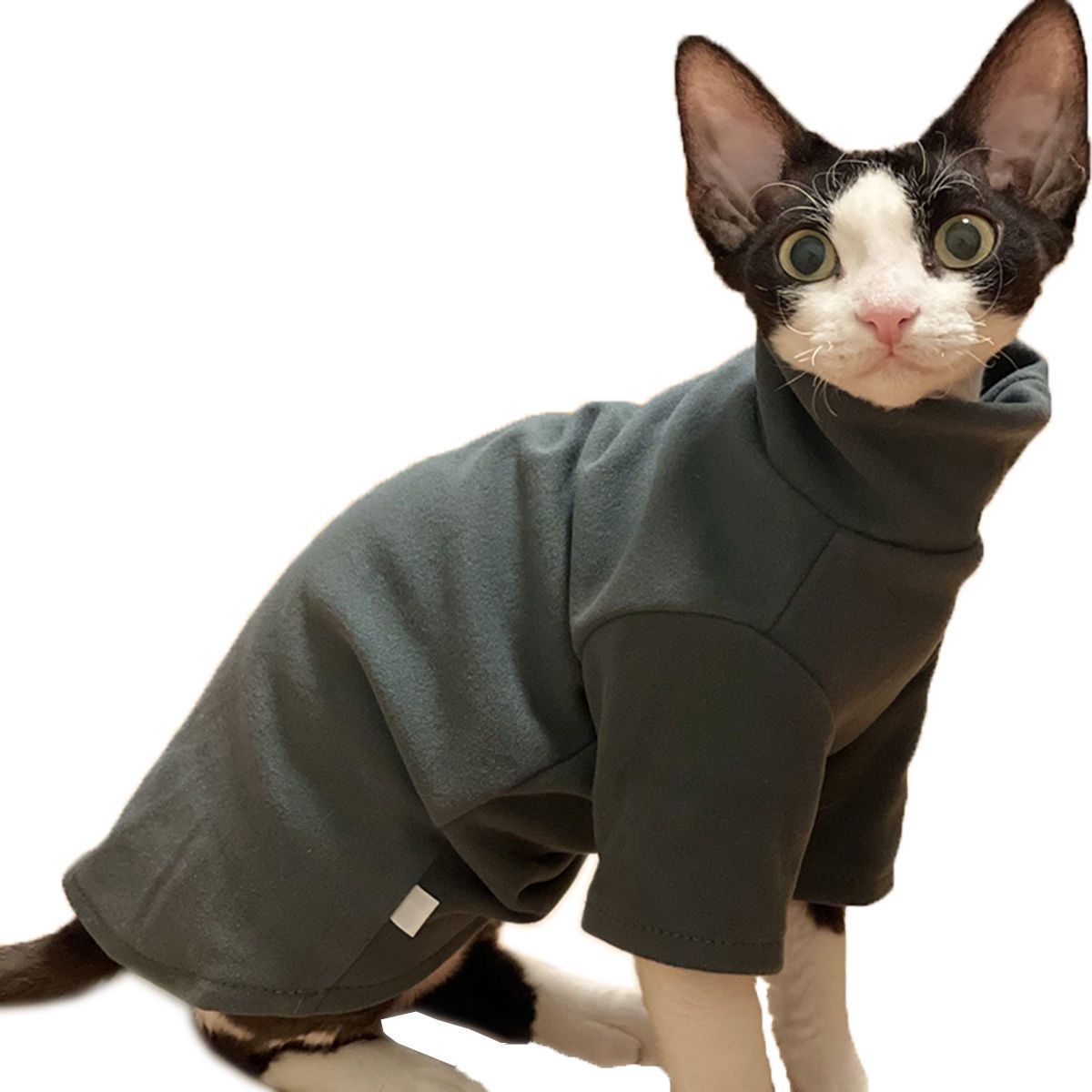 KFX-2031933 Self-Heating Cat Hoodie for Hairless Breeds - Warm Polyester Fabric in Black and Green, Multiple Sizes Available