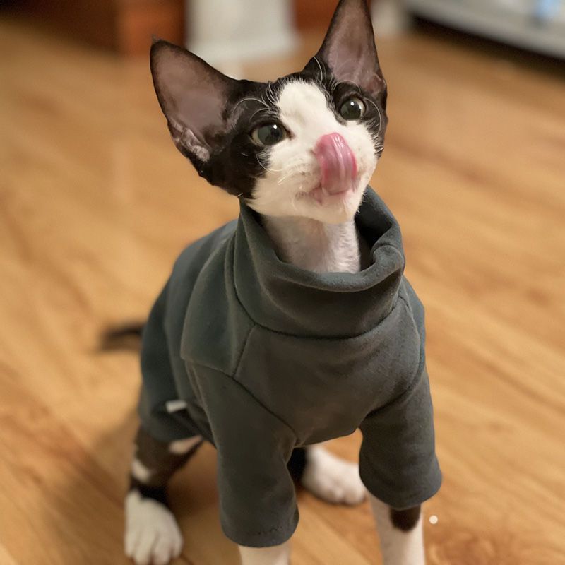 KFX-2031933 Self-Heating Cat Hoodie for Hairless Breeds - Warm Polyester Fabric in Black and Green, Multiple Sizes Available