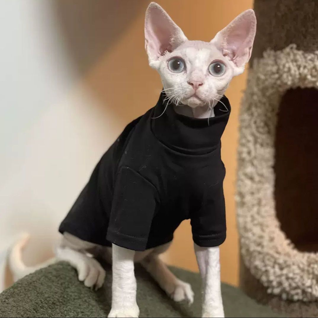 KFX-2031933 Self-Heating Cat Hoodie for Hairless Breeds - Warm Polyester Fabric in Black and Green, Multiple Sizes Available