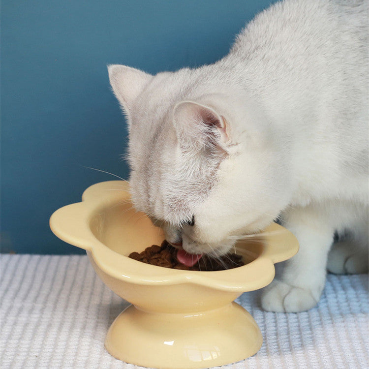KFX-2032829 Oblique Mouth High Foot Ceramic Pet Bowl in Yellow and Purple Options