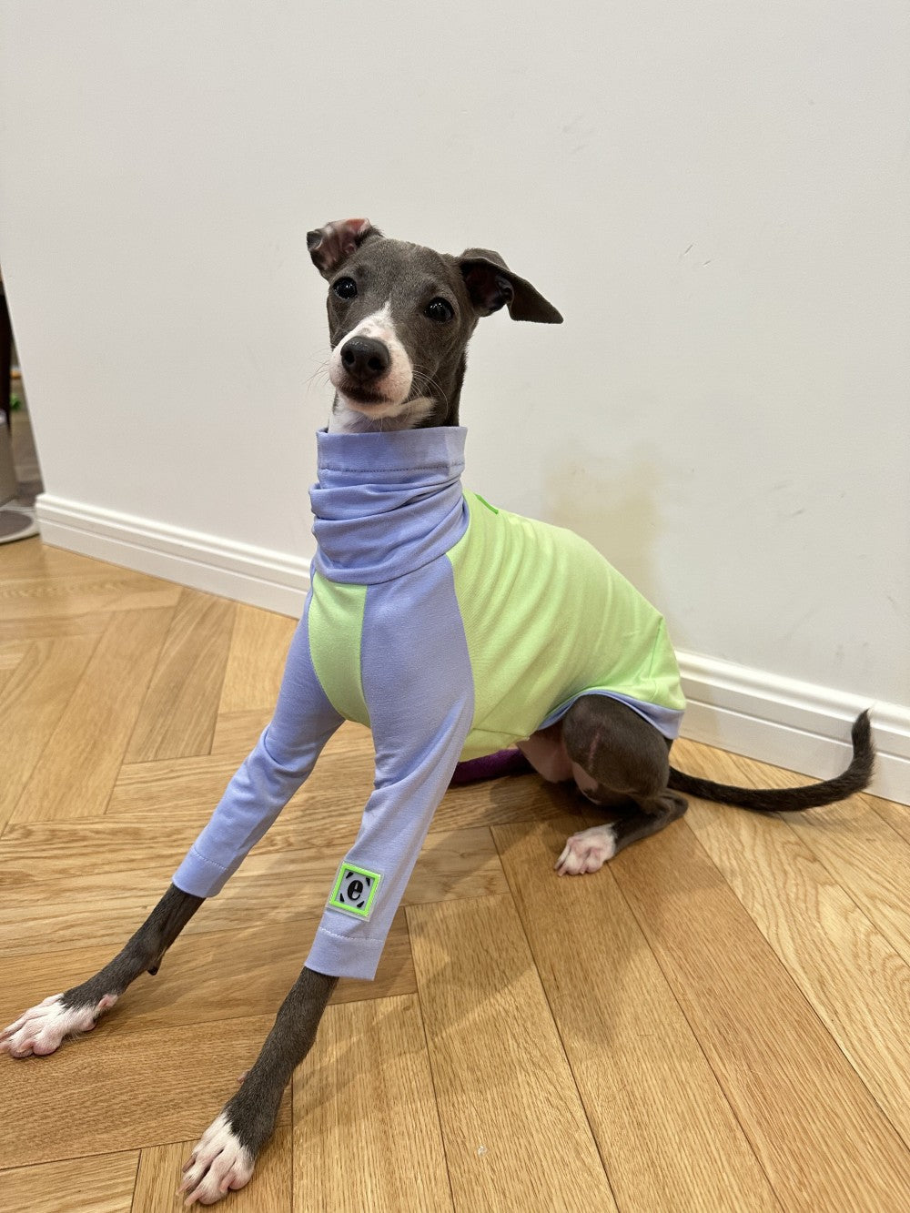 KFX-2037181 Fluorescent Green Cotton Dog Vest for Linton Terriers - Multiple Sizes Available