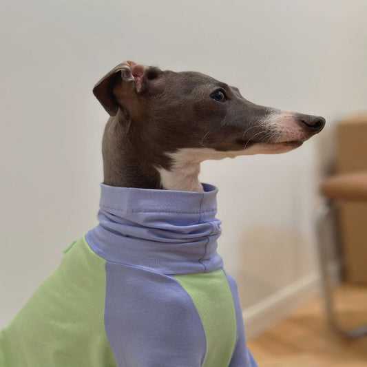 KFX-2037181 Fluorescent Green Cotton Dog Vest for Linton Terriers - Multiple Sizes Available