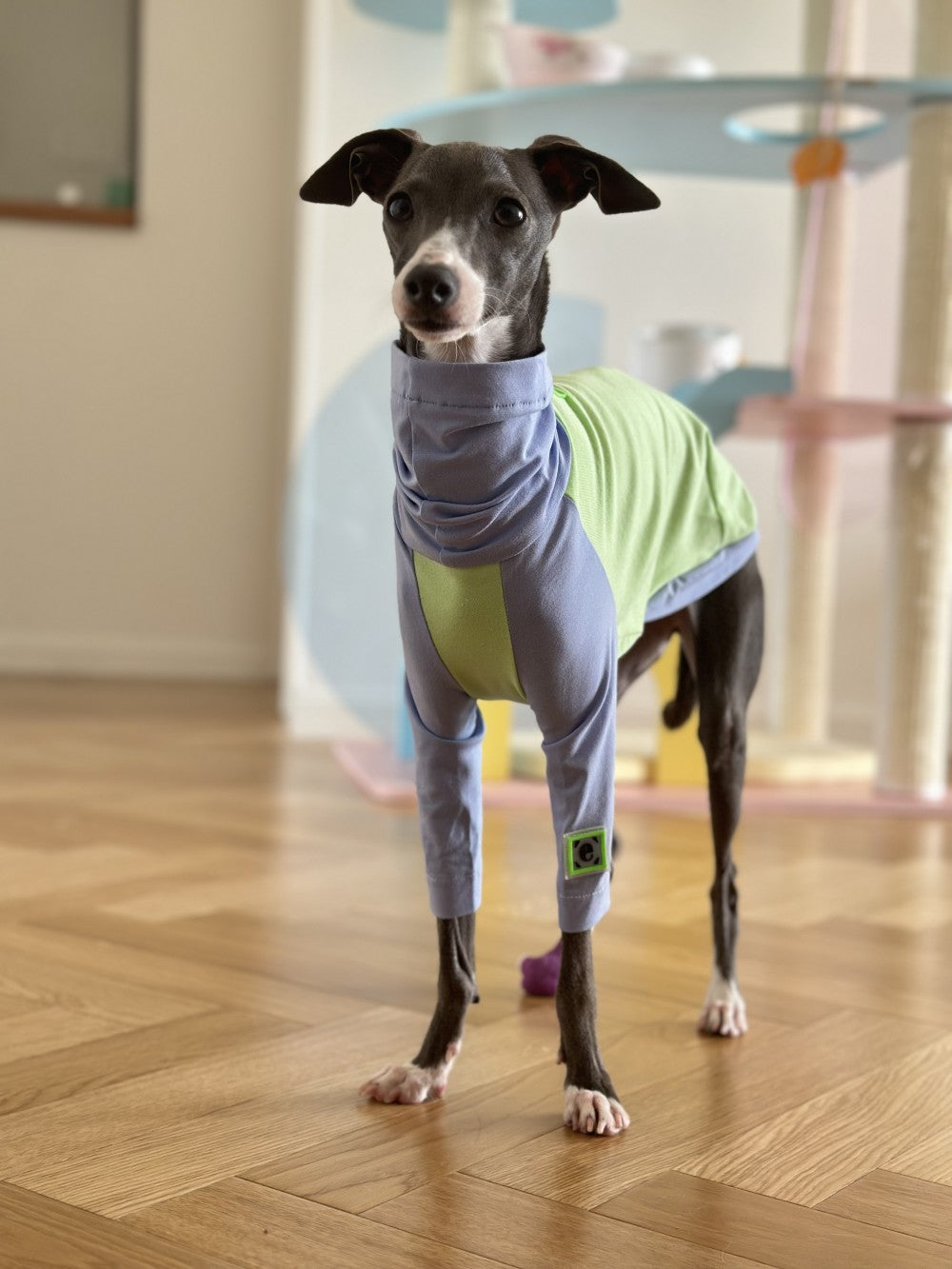 KFX-2037181 Fluorescent Green Cotton Dog Vest for Linton Terriers - Multiple Sizes Available
