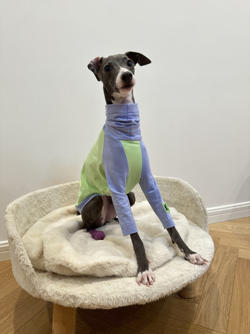 KFX-2037181 Fluorescent Green Cotton Dog Vest for Linton Terriers - Multiple Sizes Available