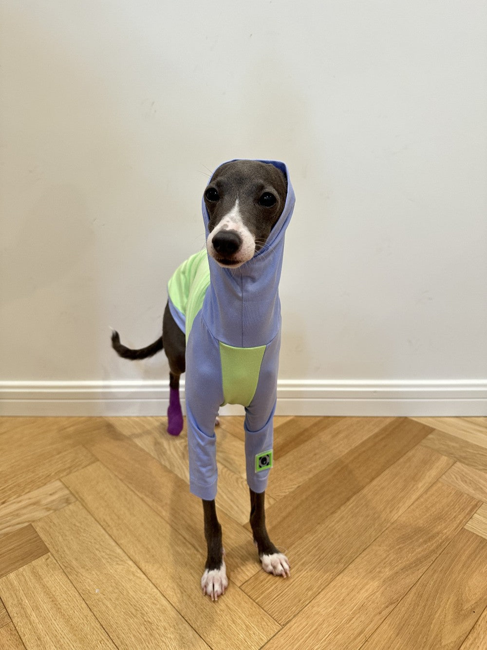 KFX-2037181 Fluorescent Green Cotton Dog Vest for Linton Terriers - Multiple Sizes Available