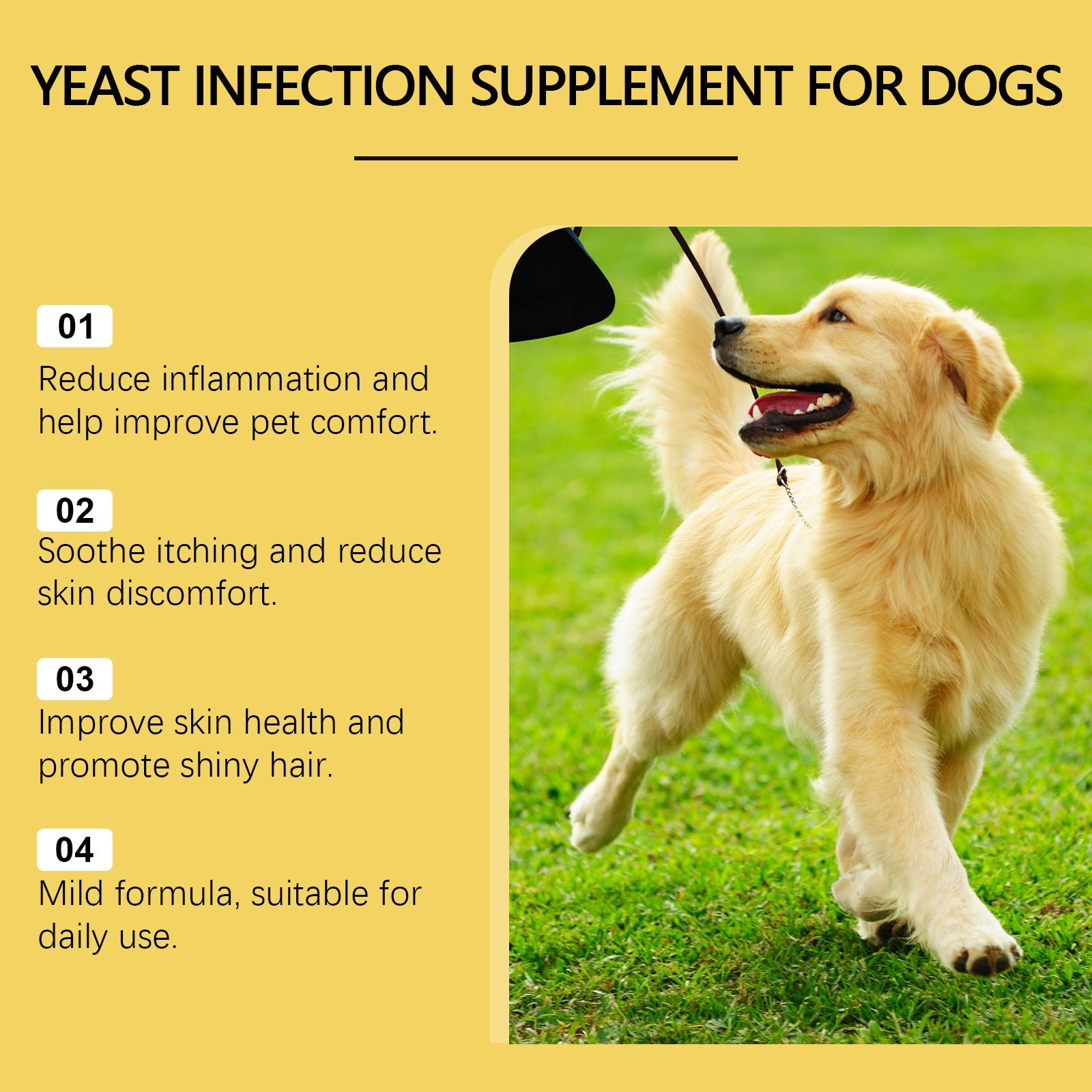 KFX-2043965 Herbal Skin Care Supplement for Dogs - 60ml External Relief Solution