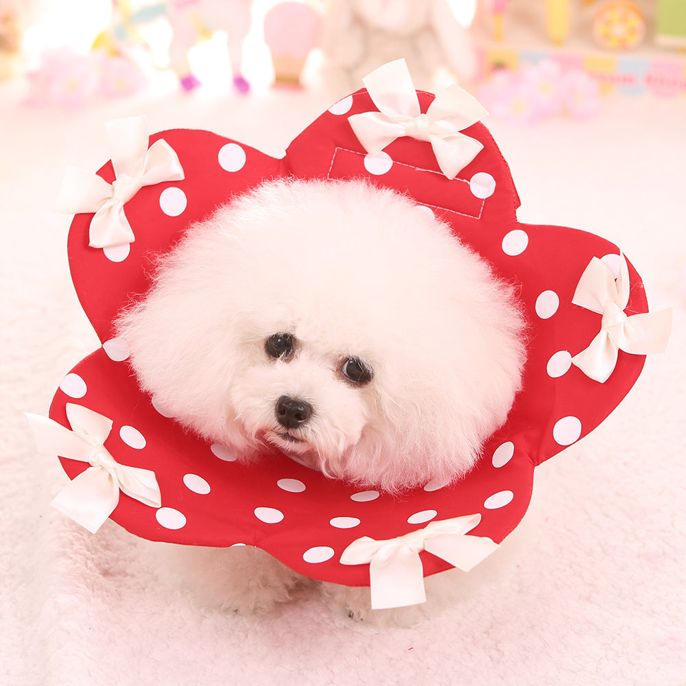 KFX-2044349 Four Seasons Floral Anti-Bite Ring for Dogs – Cute Cotton Toy in Pink, Red, Sky Blue, Strawberry, Sizes XS-XL