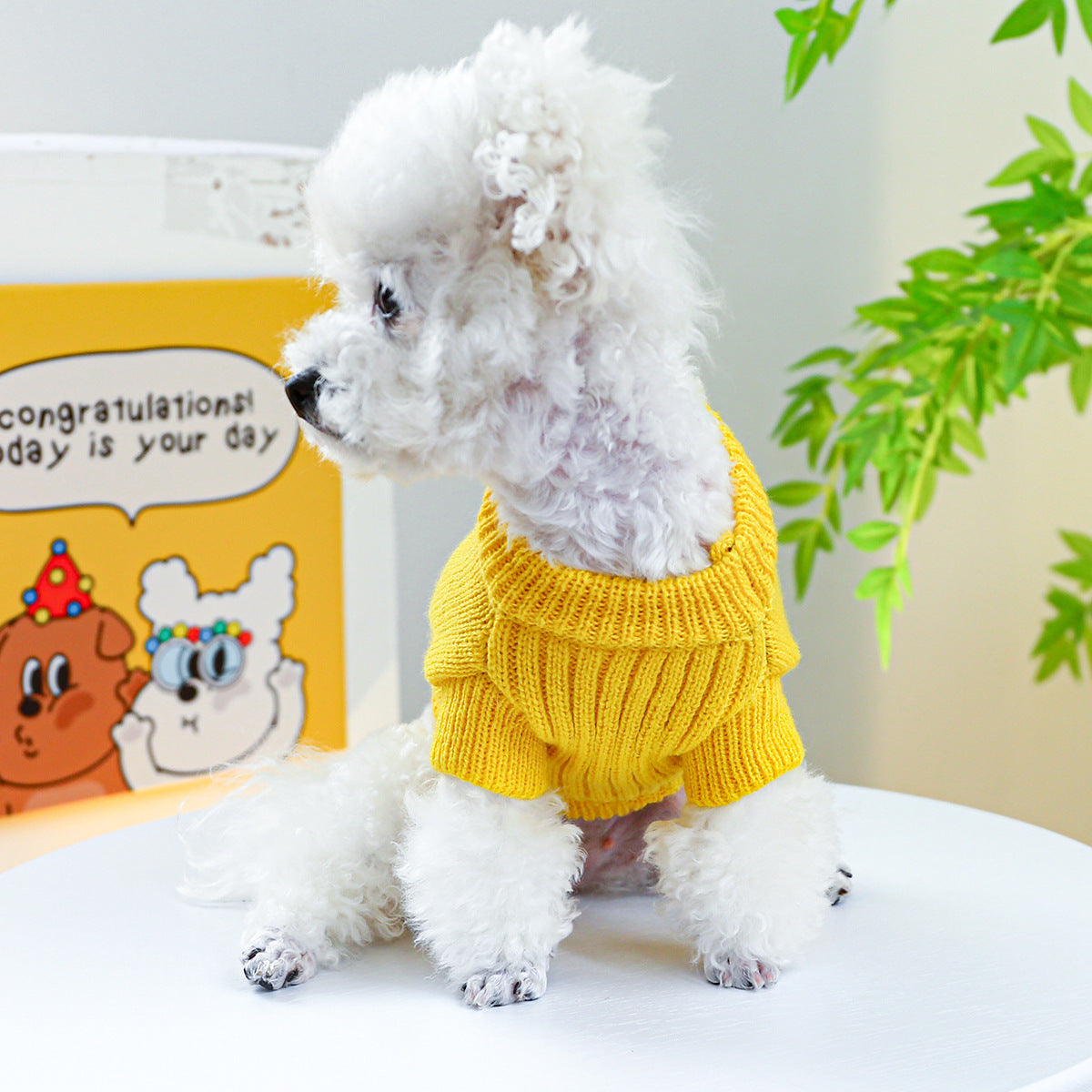 KFX-2052541 Dinosaur Sweater for Dogs - Warm and Cozy Pet Clothing in Green and Yellow