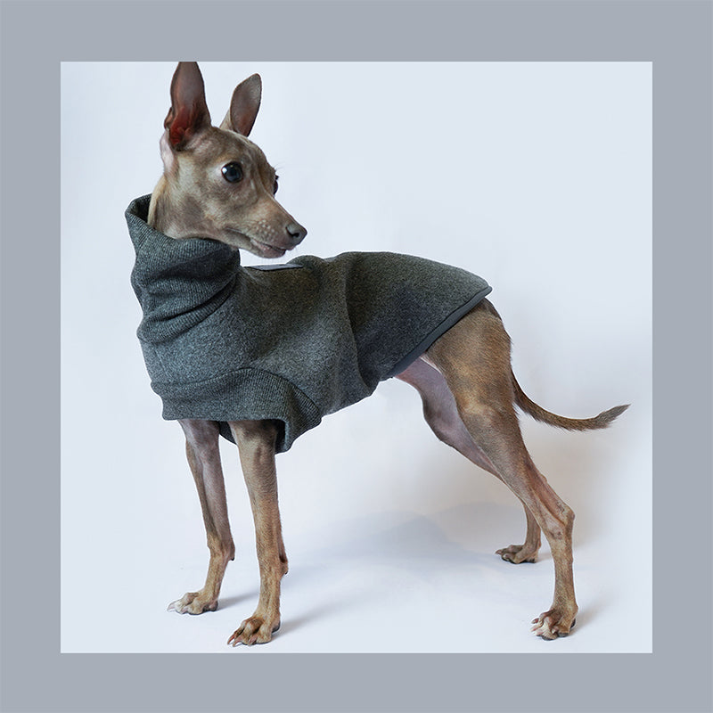 KFX-2058301 Warm Thickened Fleece Dog Clothes in Grey - Multiple Sizes Available