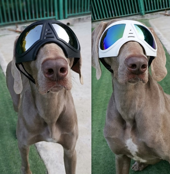 KFX-2061245 Comfortable Waterproof Pet Goggles for Large Dogs – Soft Frame Dog Sunglasses for Eye Protection