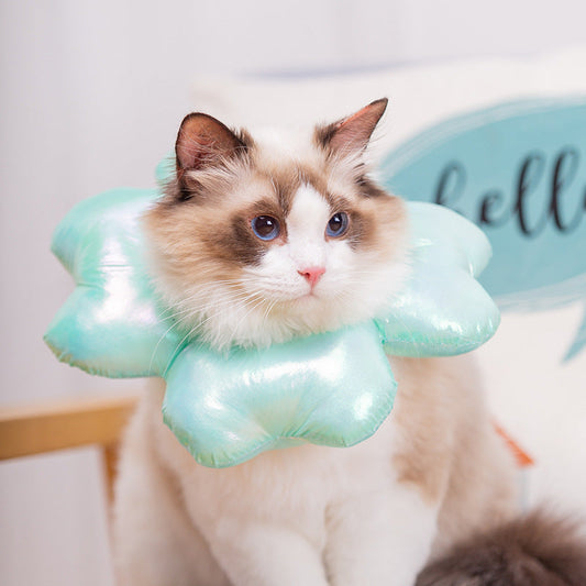 KFX-2061629 Waterproof Anti-Licking Sterilization Collar for Dogs and Cats, Available in Multiple Sizes and Colors